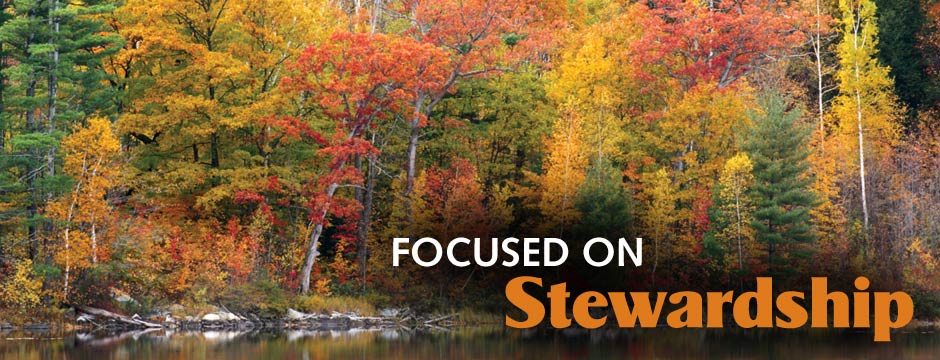 Focused on Stewardship