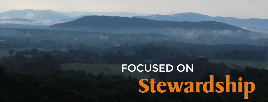 Focused on Stewardship